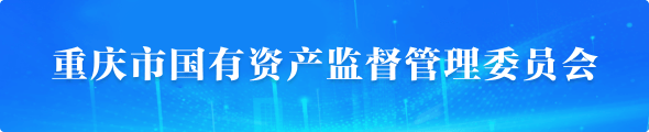 重慶市國有資產(chǎn)監督管理委員會(huì )