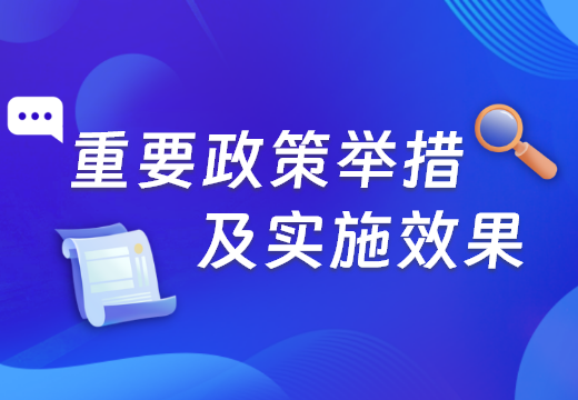 重要政策舉措及實(shí)施效果